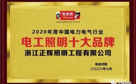 品牌榮譽！祝賀浙江正輝照明榮膺2020年“電工照明十大品牌”